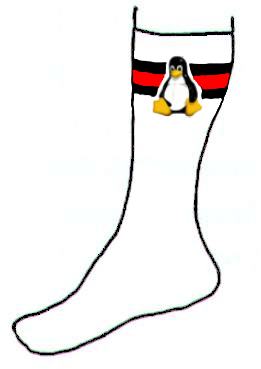 a picture of a penguin and a sock