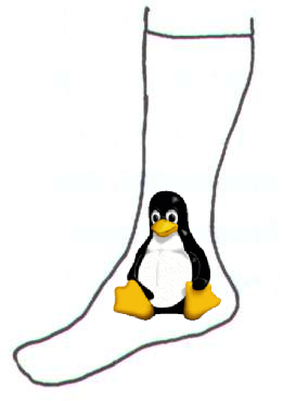 a picture of a penguin and a sock